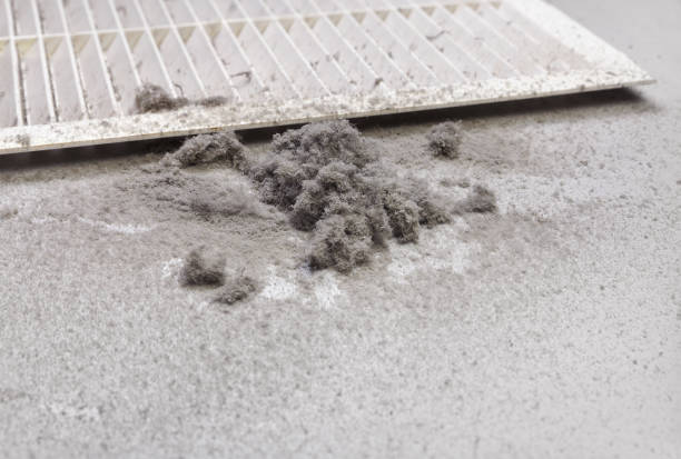 Best Air Duct Sanitizing Services  in West Point, NE