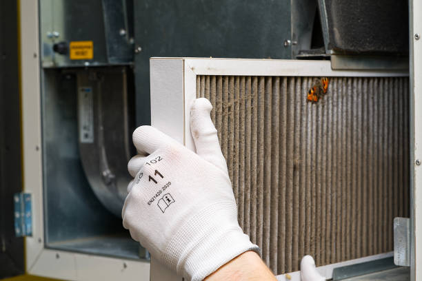 Best Affordable Air Duct Cleaning  in West Point, NE