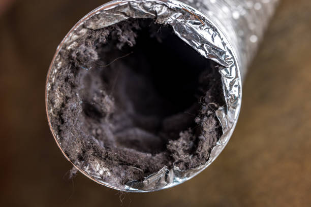 Best Affordable HVAC Duct Cleaning  in West Point, NE