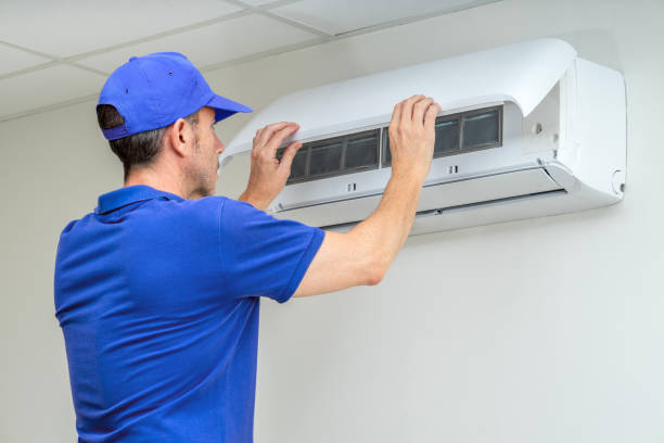 Best Air Duct Mold Removal  in West Point, NE