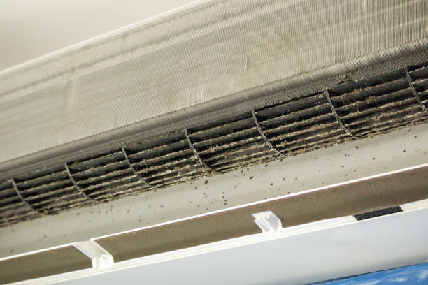 Best Affordable Duct Cleaning Services  in West Point, NE